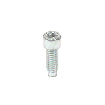 Briggs & Stratton Screw (698941)