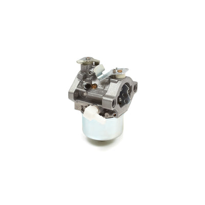 Briggs & Stratton Carburetor (495782)