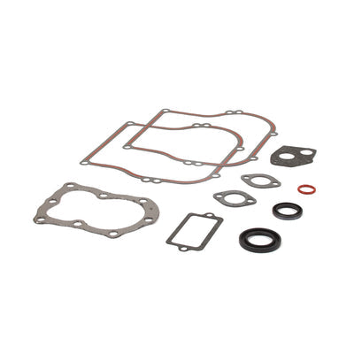 Briggs & Stratton Engine Gasket Set (555210)