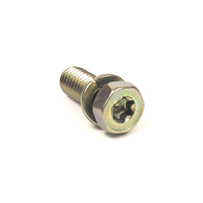 Briggs & Stratton Screw (691902)