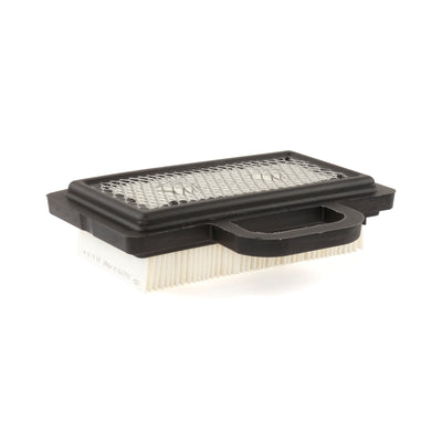 Briggs & Stratton Filter (5 X 792101) (4268)
