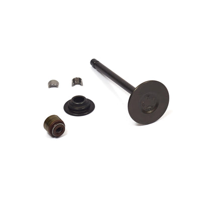 Briggs & Stratton Exhaust Valve (844787)