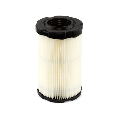 Briggs & Stratton Air Filter (5 X 594201) (4243)