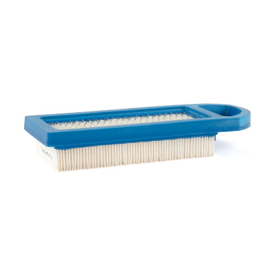Briggs & Stratton Air Filter (6 X 795115) (4211)