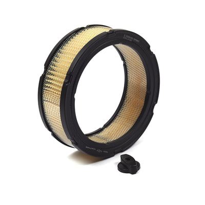 Briggs & Stratton Air Cleaner Filter Cartridge (841359)