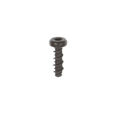 Briggs & Stratton Screw (698304)