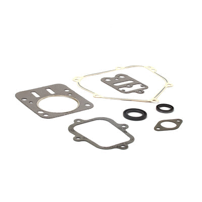 Briggs & Stratton Engine Gasket Set (555631)