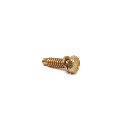 Briggs & Stratton Screw (691666)