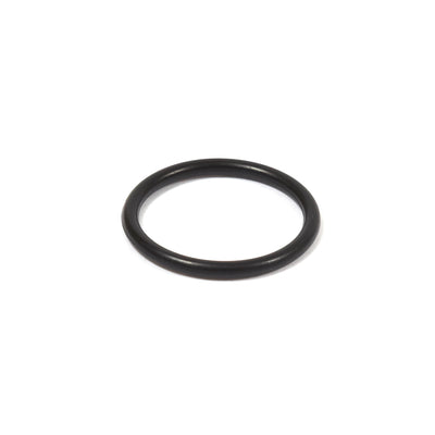 Briggs & Stratton O-Ring Seal (555601)