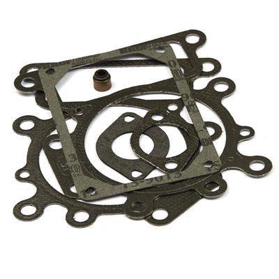 Briggs & Stratton Valve Gasket Set (794152)