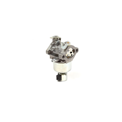 Briggs & Stratton Carburetor (791889)