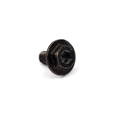 Briggs & Stratton Screw (699854)