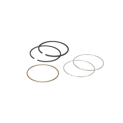Briggs & Stratton Ring Set (795690)