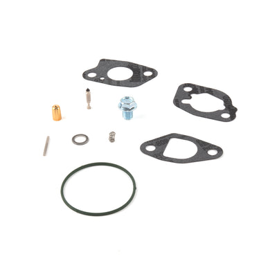 Briggs & Stratton Carburetor Overhaul Kit (591770)