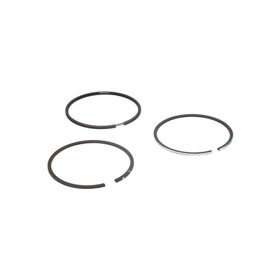 Briggs & Stratton Ring Set .020 (555666)