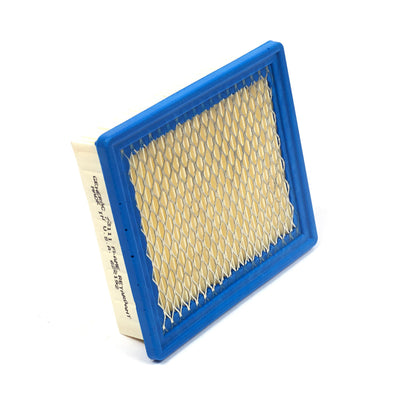 Briggs & Stratton Cartridge Filter (73111GS)
